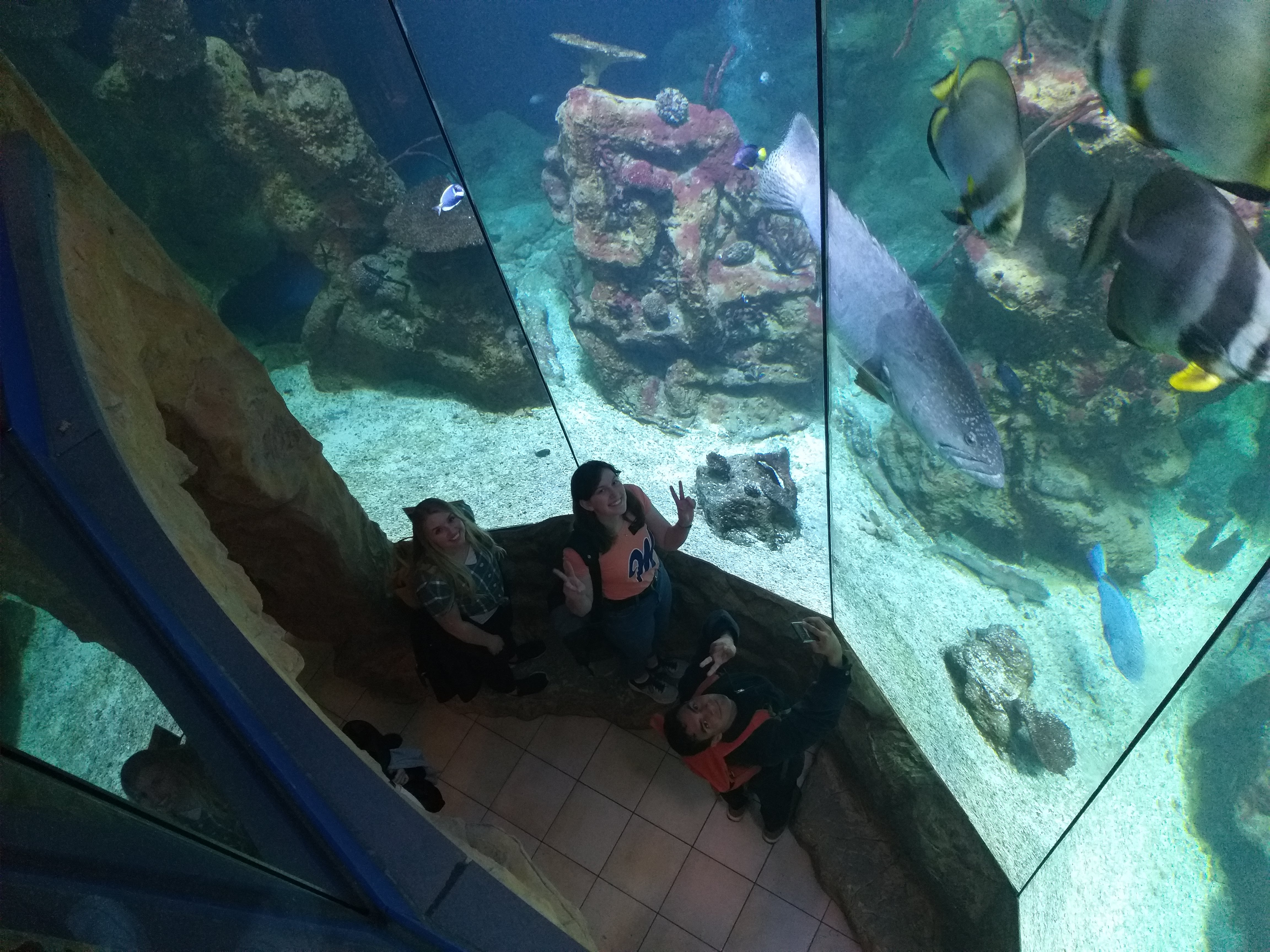 aquarium