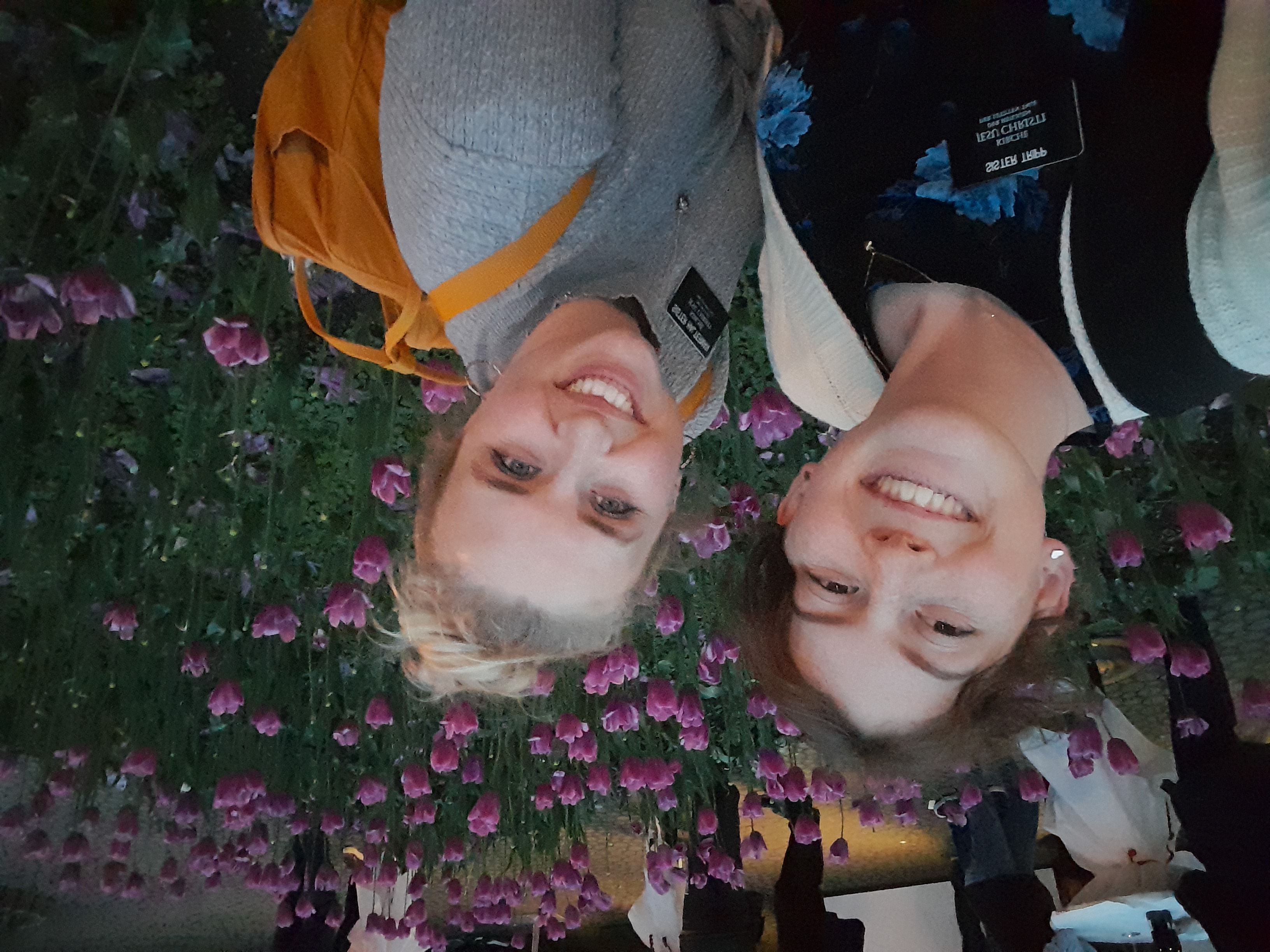 companions and tulips